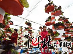 b2f14fd7-e4ab-40cf-a5f6-61abe1143e6c_watermark.jpg