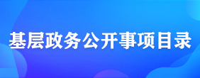 基层政务公开事项目录