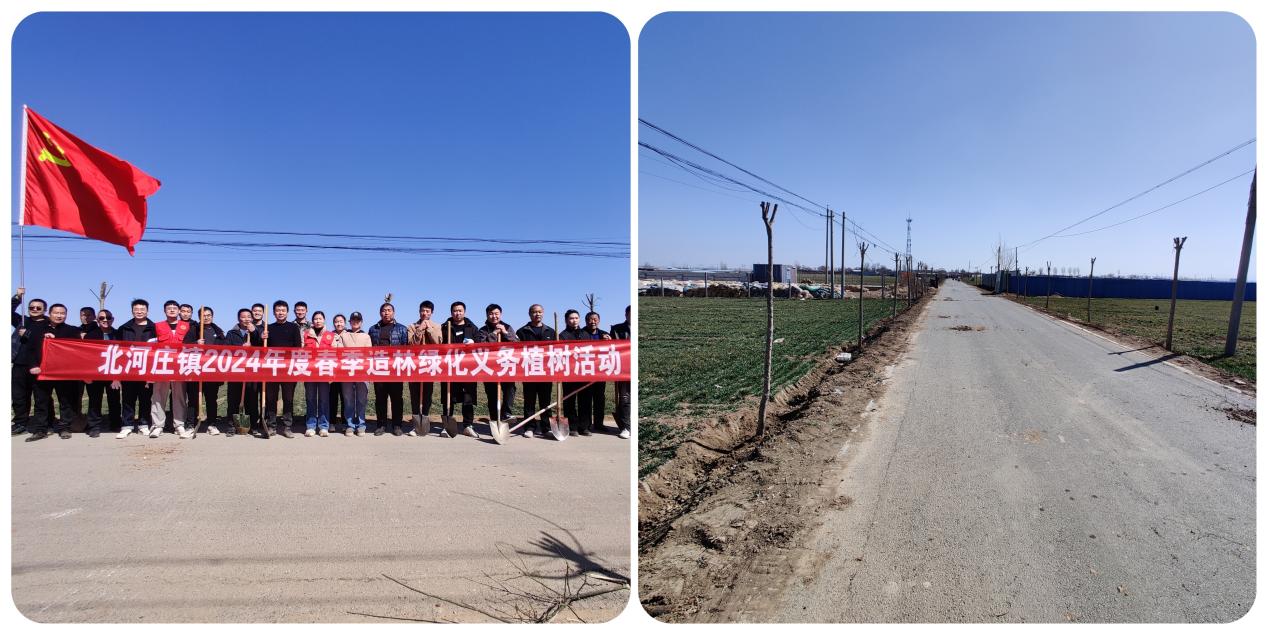 植此青绿不负春光北河庄镇开展义务植树活动