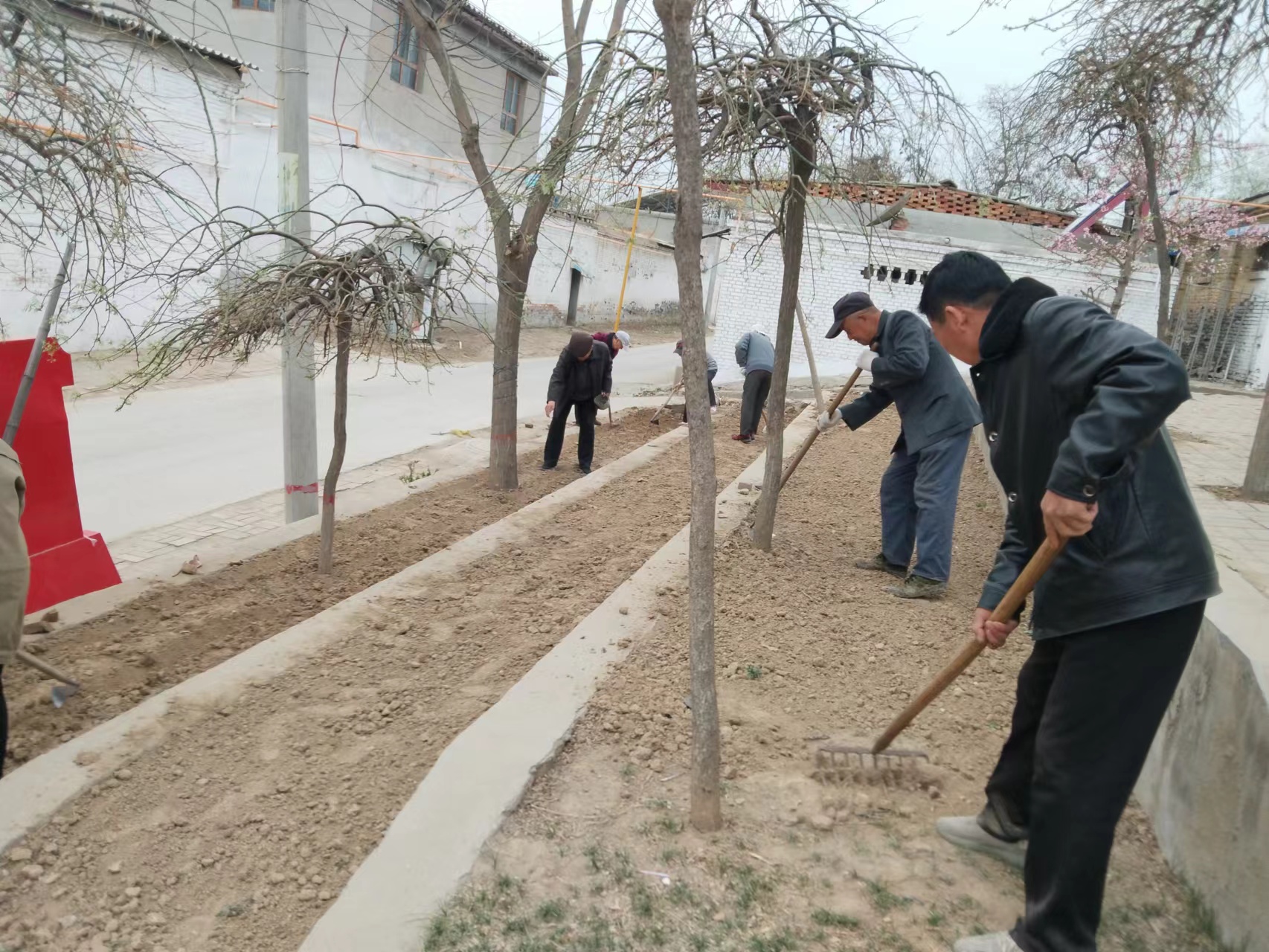 北鱼乡推进花园式北鱼建设打造美丽宜居乡村